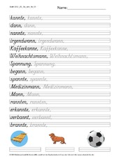 DSS_2S_Bu_ann_Nr_01.pdf